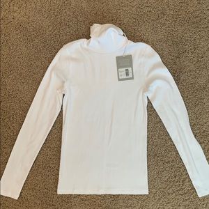 Everlane Micro Rib Turtleneck